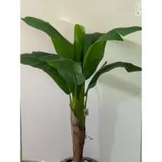 Bananeira artificial