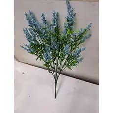 Planta de lavanda de espuma liassimlda