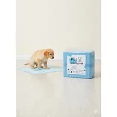 Tapete Higiênico Descartável para Cães e Gatos 45x60cm com 50 unidades - SEM ADESIVO  xixi passeio casa
