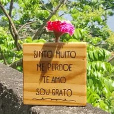 Vasinho Quadrado de Madeira | Frase de Inspiração | Mantra Sinto Muito | Quadros | Decorativo | Sala