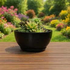 Vaso Bacia de Polietileno Para Plantas Suculentas e Cactos Resistente e Leve com Prato