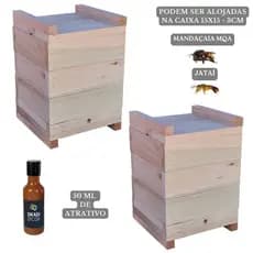 2 Caixas Inpa Abelhas Mandaçaia 15x15 + Atrativo 50 ML