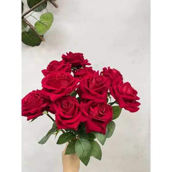 Rosa aveludada unidade/H0082