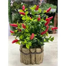 Vaso Arranjo Artificial  de Pimenta C/ vaso, argila, musgo Ideal para decorações de mesa, banheiro