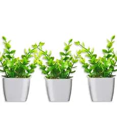 3 Mini Vasinhos Cerejeira, Palmeira / Plantinha Artificial / Coqueiro Suculentas Artificiais Decorativos
