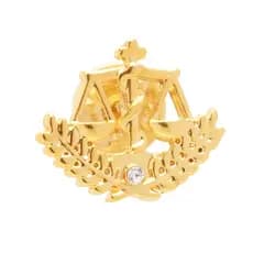 Broche Pin Simbolo Nutrição Nutricionista Folheado A Ouro 18k