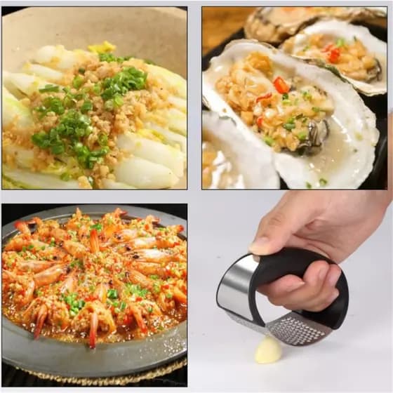 Espremedor Amassador Ralador de Alho em Aço Inox e ABS Triturador Manual de Alho Cozinha