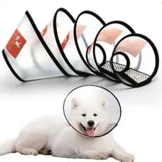 Colar Elizabetano Pós Cirúrgico Pet Para Cachorro Cães Gatos Pescoço