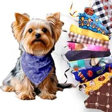 Bandana Pet Acessórios Acessório Banho e Tosa Cachorro Gato Veterinária Petshop