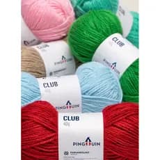 Kit 10 Novelos Sortidos Lã Acrílica Club 500 Pingouin 40g