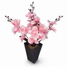 Vaso Volteado Orquídea Artificial Rosa Bebê 40cm Preto Para Sala Quarto Escritório Mesa E Presentes