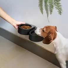 Comedouro Tigela Duplo Pet C/ Regulável Suporte Cães Idosos