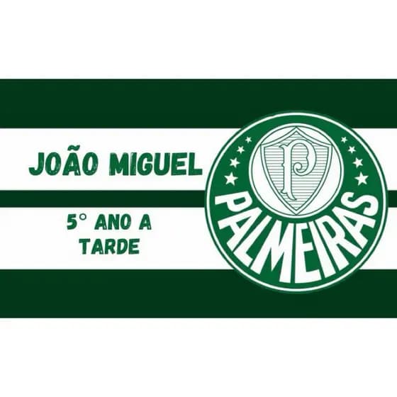 kit etiqueta escolar palmeiras/ time futebol / adesivo escolar / etiqueta personalizada