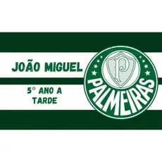 kit etiqueta escolar palmeiras/ time futebol / adesivo escolar / etiqueta personalizada