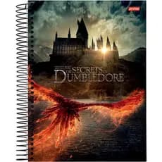 Caderno Animais Fantásticos Dumbledore 10 Matérias 160 Folha