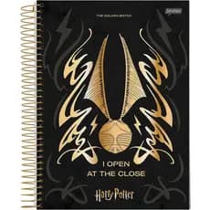 Caderno Harry Potter Hogwarts 15 Matérias 300 Folhas Jandaia