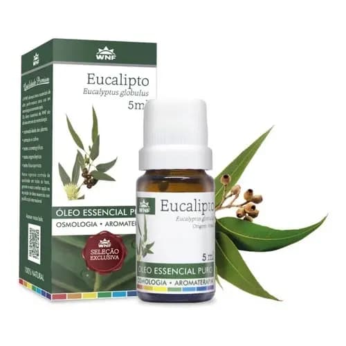 Oleo Essencial Eucalipto Para Gripe