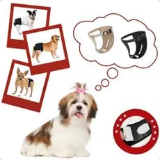 Fralda Para Cadela no Cio Lavável Reutilizável Anti Xixi Pet Top