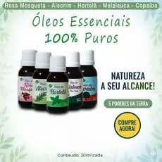 Óleo De Rosa Mosqueta Alecrim Melaleuca Teal Tree 100% Puro Essencial 30ml