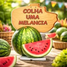 Display Colha uma Melancia