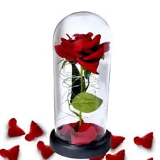 Luminária Rosa Vermelha na Cúpula Led A Bela e a Fera / O Pequeno Príncipe A Rosa Encantada Rosa 22cm + Pilha Brinde