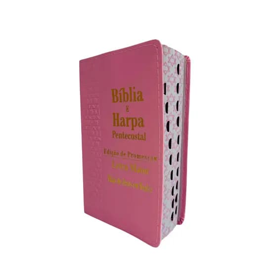 Bíblia Sagrada Letra Média Luxo c Índice Estrela Rosa