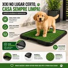 Sanitário Canino Xixi Pet Tapete Higiênico Grande Grama Sintética Lavável