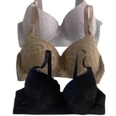 Kit 3 Sutiã De Renda Plus Size Com Bojo Feminino Sustentação Conforto Com Aro Alça Grossa Reforçado