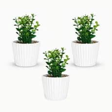 Kit 3 Vasinhos de Melamina com Folhagem de Eucalipto Artificial para Decoração