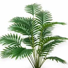 Planta Artificial Palmeira Areca Real Toque Sem Vaso