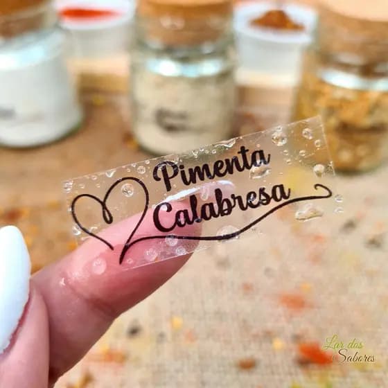 50 Adesivos Transparentes para Temperos e Mantimentos Vinil Resistente à Água 5x2cm