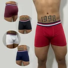 KIT 10 CUECAS BOXER ADULTO MASCULINA CUECA BOX ADULTO MICROFIBRA LISA