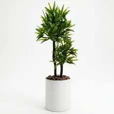 Bambu Da Sorte Artificial Enfeite Sala + Vaso Design Moderno Decoração Kit Decorativo Completo