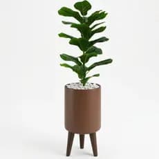 Planta Artificial Ficus Lyrata Vaso Design Moderno Sala Decoração Escritório