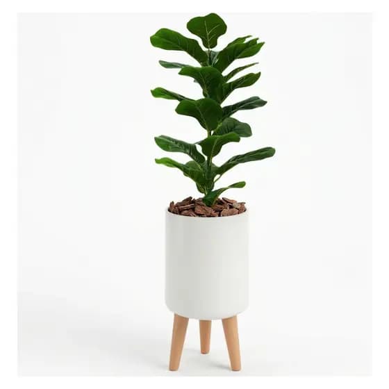 Ficus Lyrata Artificial Com Vaso Decorativo Design Moderno
