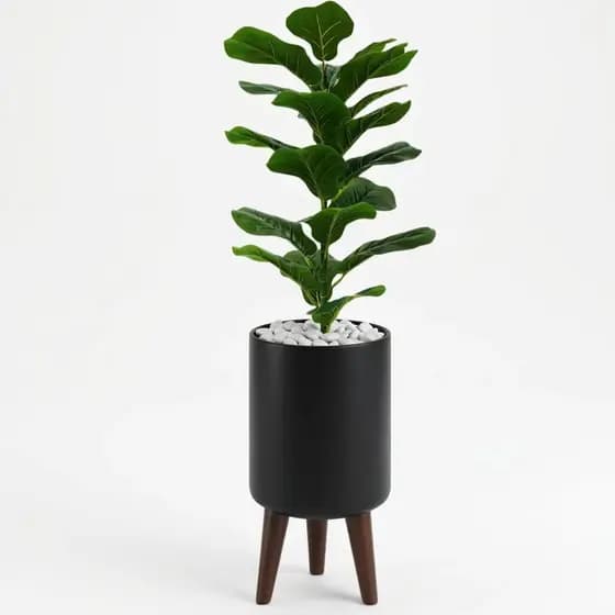 Ficus Lyrata Bambino Artificial Realista Com Vaso Decorativo