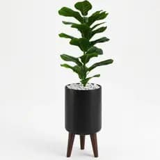Ficus Lyrata Bambino Artificial Realista Com Vaso Decorativo