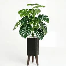 Planta Artificial Costela De Adão Vaso Tripé Decorativo Enfeite Casa e Decoração Sala Quarto Escritório