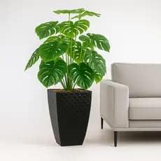 Planta Artificial Para Sala com Vaso Preto Decorativo Polietileno 3D C/ Casca De Pinus Kit Completo