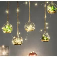 Bola Em Acrílico Para Terrário Suculenta E Pendurar
