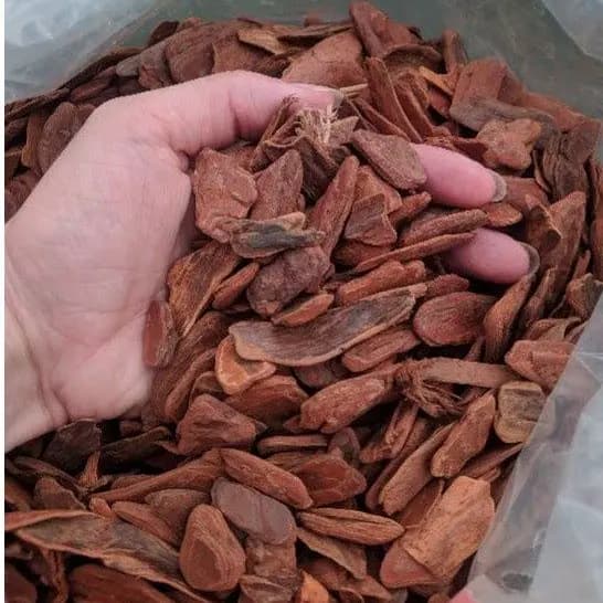 Casca De Pinus Natural para decoração De Vasos De Planta, Orquídeas e Jardins Tipo Polido Pacote 1kg ou 300g