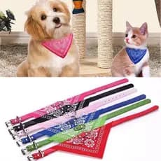 Coleira para Animais de Estimação – Ajustável e Confortável 🐶🐱