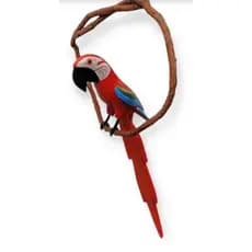 Arara em Madeira M