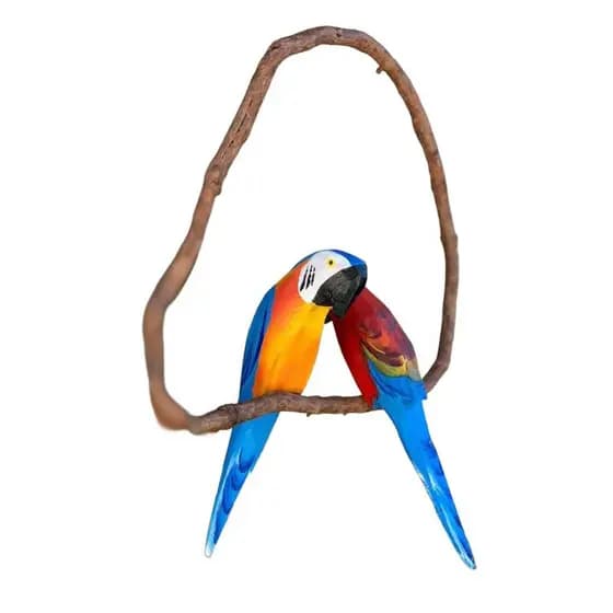 Casal de Arara