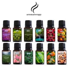 Essências Hidrossolúveis Para Umidificador 20ml a Base de Água | Difusor de Ar e Ambiente Hidrossolúveis