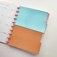 Kit 10 Divisórias Para Caderno de 10 Furos de Disco Sistema Inteligente
