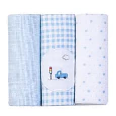 Cueiro Flanelado Bordados Papi Kit 3 Unidades Bebê