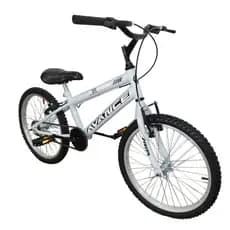 Bicicleta Infantil Criança Aro 20 V-Break Menino Masculino Bike