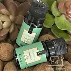 Essência Para Aromatizador Elétrico 10ml Essência Verbena Via Aroma