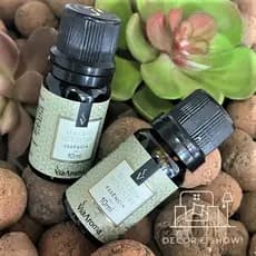 Essência Para Aromatizador Elétrico 10ml Essência Alecrim Silvestre Via Aroma